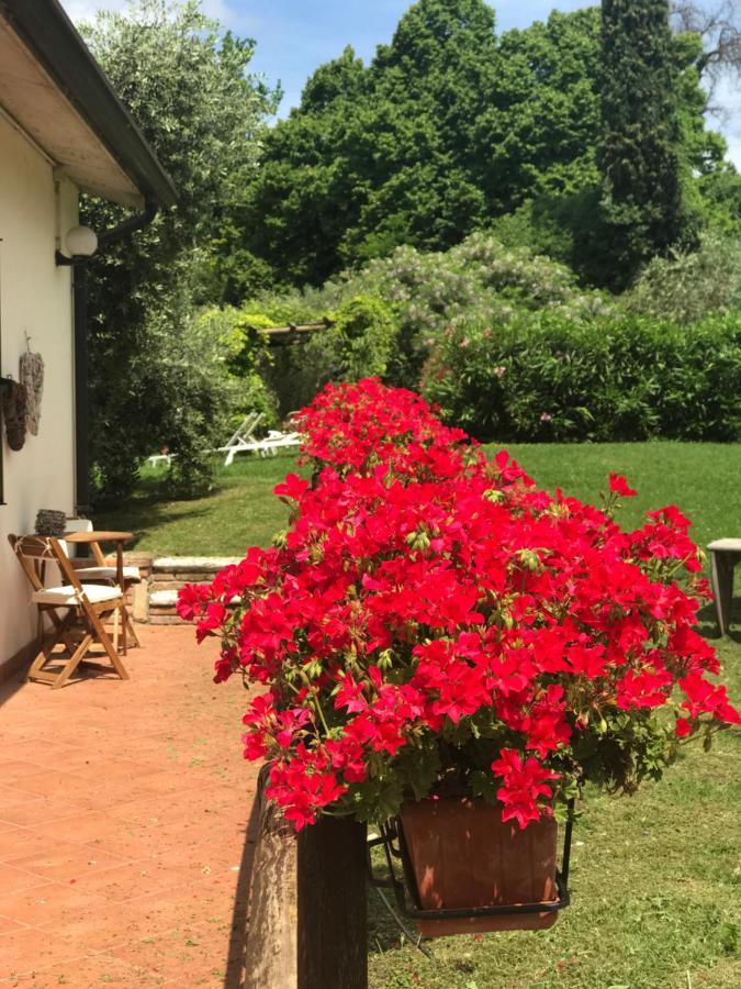 Agriturismo B&B Le Casette Sul Garda 卡瓦翁贝罗内斯 外观 照片