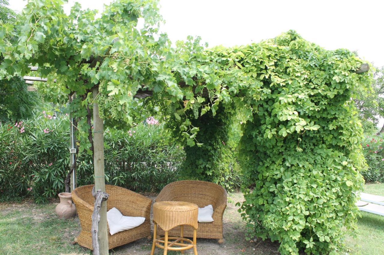 Agriturismo B&B Le Casette Sul Garda 卡瓦翁贝罗内斯 外观 照片