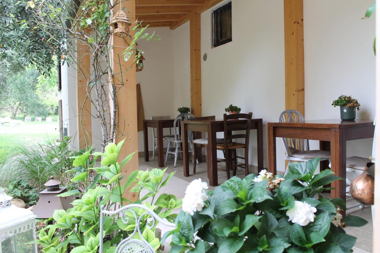Agriturismo B&B Le Casette Sul Garda 卡瓦翁贝罗内斯 外观 照片