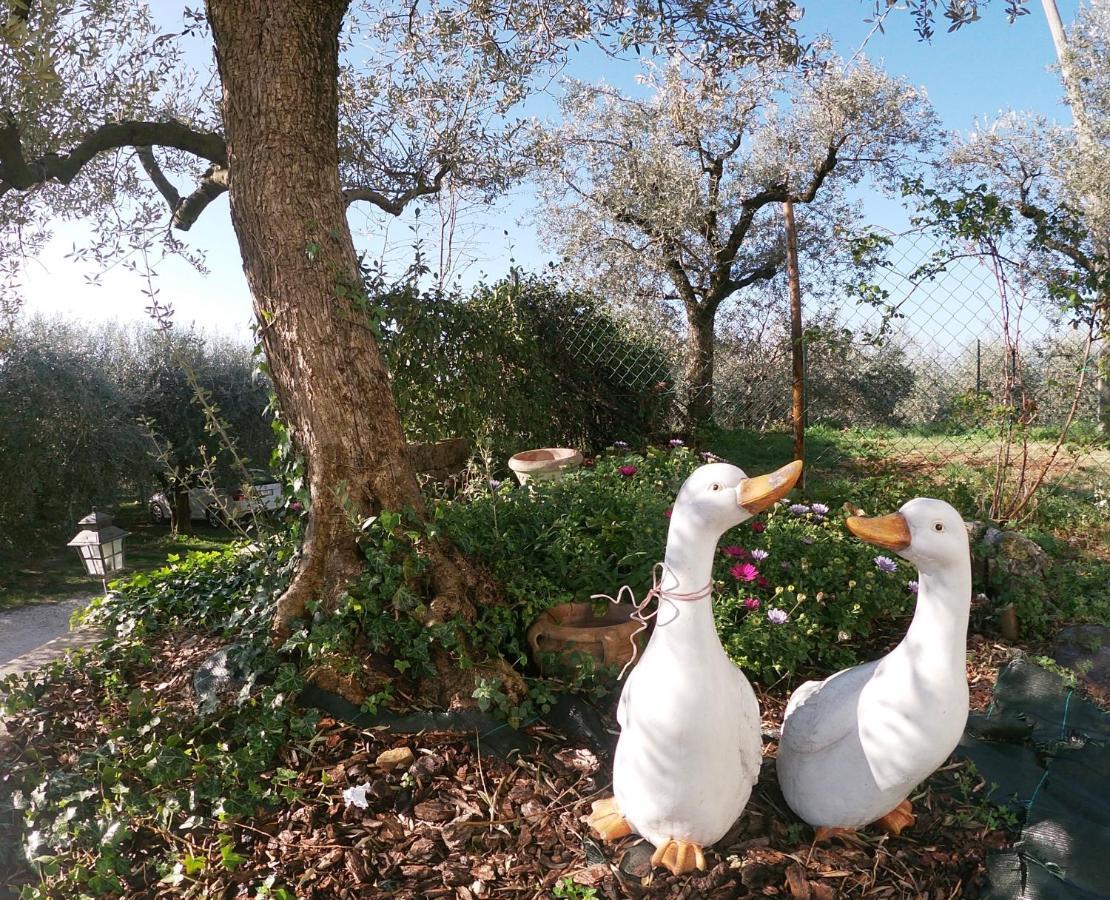 Agriturismo B&B Le Casette Sul Garda 卡瓦翁贝罗内斯 外观 照片